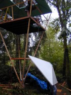 raising cupula