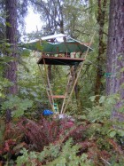 roof raising